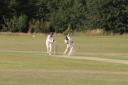 East Devon cricket club calls for more players to join up