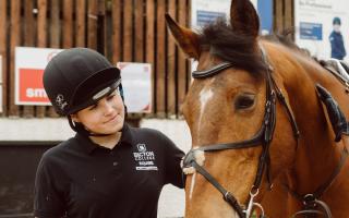 Bicton College preparing equestrian excellence for major events