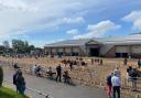 Cornish Mutual Livestock arena.