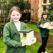 Drake's Primary pupils with bird boxes