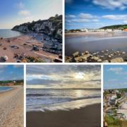 Seaton, Beer, Exmouth, Budleigh and Sidmouth all awarded Blue Flag status