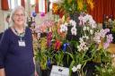 Nicky Wakley chairman of the Devon Orchid Society at the show in 2020.