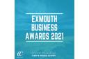 The Exmouth Business Awards 2021 logo