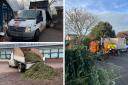 East Devon District Council recycle Christmas trees.