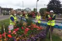 Exmouth in Bloom at work on one of the town's floral displays