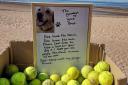 The cardboard box filled with tennis balls has been left on Exmouth beach.