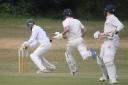 Sidmouth wicketkeeper Robbie Powell removes the bails