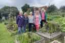 Members of the Seachange garden group at the community allotment