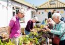 A busy stall at the plant sale