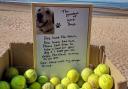 The cardboard box filled with tennis balls has been left on Exmouth beach.