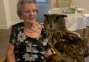 Visit by birds of prey to Homestead care home