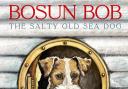 Erin Harrison's new book Bosun Bob The Salty Sea Dog.