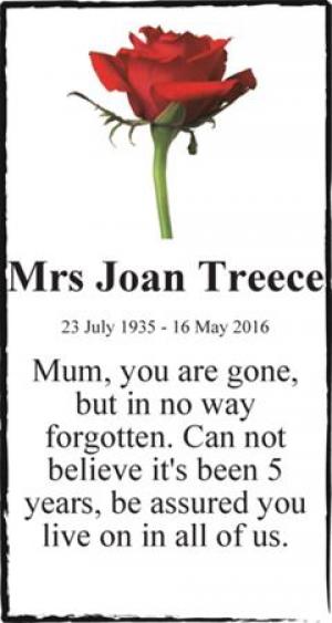 Mrs Joan Treece