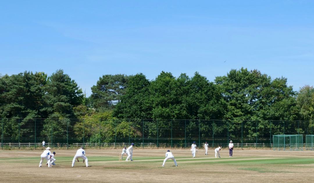 Tolchards Devon Cricket League weekend fixtures