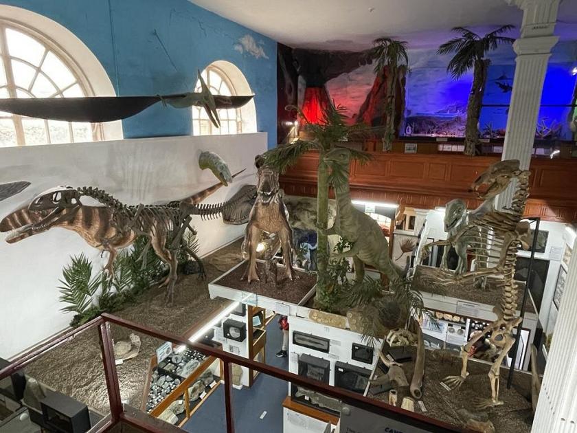 Dinosaur Day 2023: Best attractions in and around Devon
