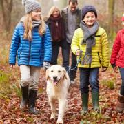 Venture outdoors with the family this January