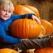 Children take home a free pumpkin when visiting Crealy's Spook-fest