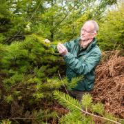 John Wilding assesses the young woodland on Otterton Hill
