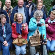 Volunteers with the Fungus Conservation Trust