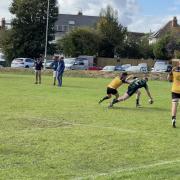 Withies score against South Molton