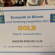 Madeira BC success with RHS and Exmouth in Bloom