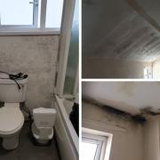 The home in Exmouth was 'overcome with mould.'