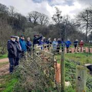Members of Honiton u3a Nature Appreciation Group at the Lower Otter Restoration Project