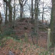 One of the Bronze Age Bowl Barrows on the common near Exmouth