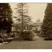 The back garden and rear view of Nutbrook House, Exmouth