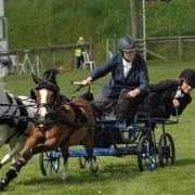 Scurry Horse Racing at the Devon County Show.