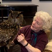 An owl at Raleigh Manor Care Home