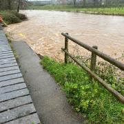 Flood water on the path by River Otter on the otter footpath