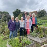 Members of the Seachange garden group at the community allotment