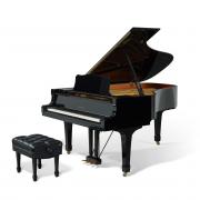 A competition launches in Exmouth to win free piano lessons for our child.