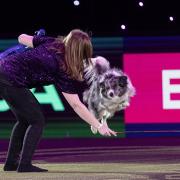 Lorna and Nora performing their winning routine at Crufts