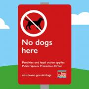 Dog control restrictions implemented in East Devon