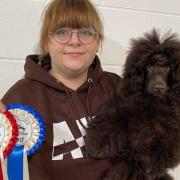 Kathryn Sellick with puppy Bueno and her awards for grooming and handling