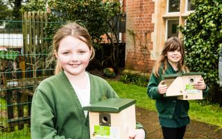 Drake's Primary pupils with bird boxes