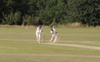 East Devon cricket club calls for more players to join up