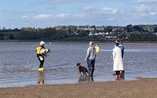 Peppa the dog being returned to her owners by Exmouth RNLI